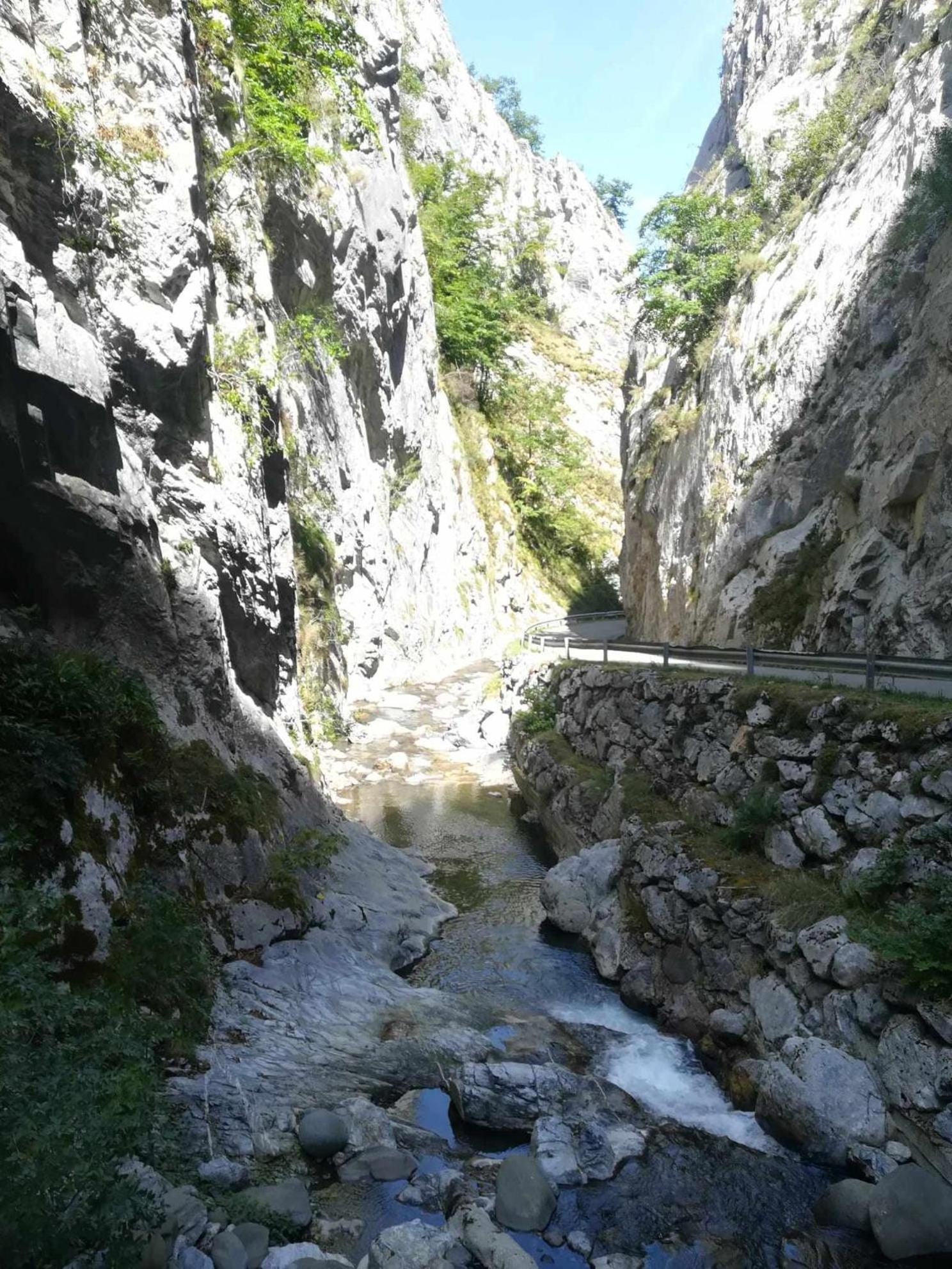 Asturias Boho Chic Lägenhet Aller Exteriör bild