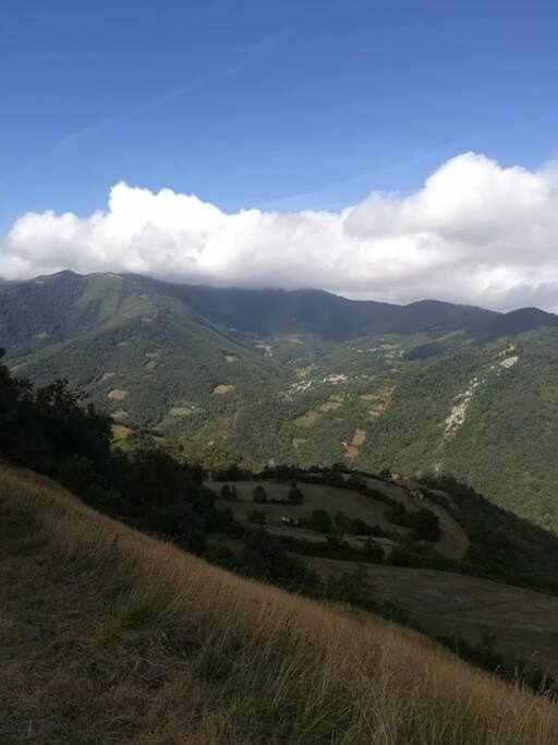 Asturias Boho Chic Lägenhet Aller Exteriör bild
