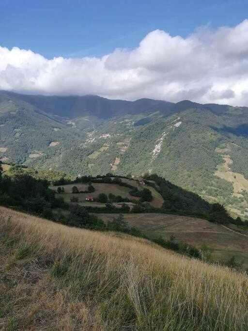 Asturias Boho Chic Lägenhet Aller Exteriör bild