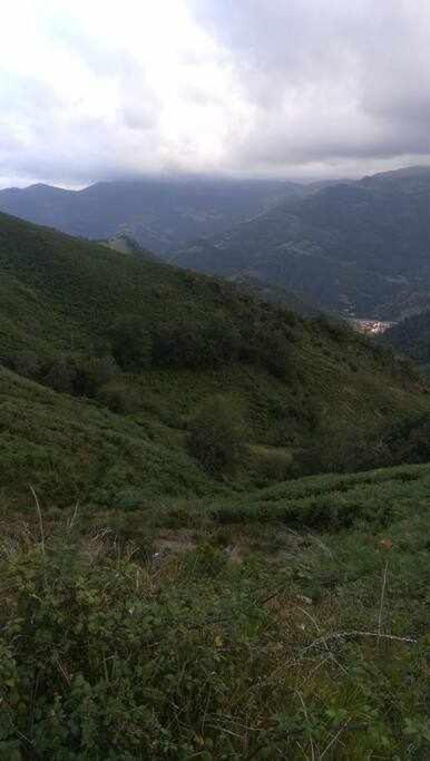 Asturias Boho Chic Lägenhet Aller Exteriör bild