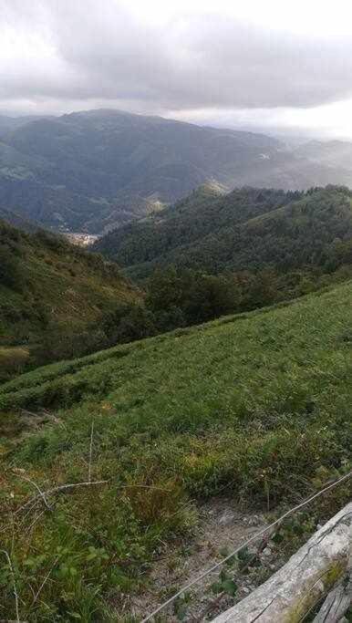Asturias Boho Chic Lägenhet Aller Exteriör bild