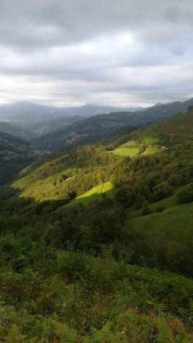 Asturias Boho Chic Lägenhet Aller Exteriör bild