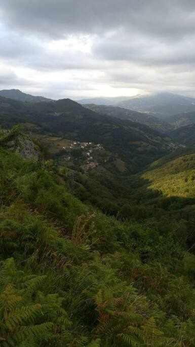 Asturias Boho Chic Lägenhet Aller Exteriör bild